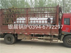 LSH0.5-0.7-T型立式生物质蒸汽乐投（中国）发货
