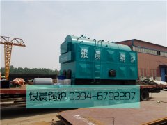 DZH4-1.25-T型4吨生物质蒸汽乐投（中国）发货