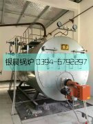 2吨燃气蒸汽乐投（中国）发货