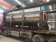 6吨燃气蒸汽乐投（中国）
