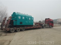4吨链条生物质蒸汽乐投（中国）
