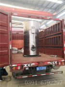 0.5吨燃气热水乐投（中国）